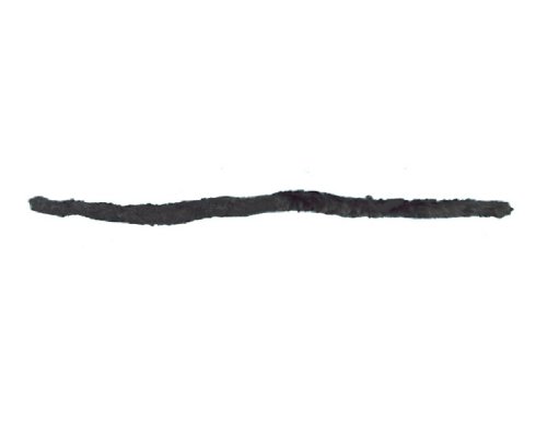Mouse or Cat Tail