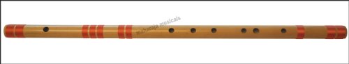 Bansuri professional, maharaja musicals, scale e natura…