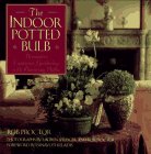 The Indoor Potted Bulb ~ Decorative Container Gardening with Flowering Bulbs by 
