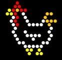Travel Lite Brite Refill: Animals (3.5 inch square) - NOT for New Magic Screen by Lite Brite