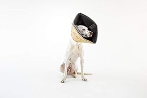 comfy cone the original