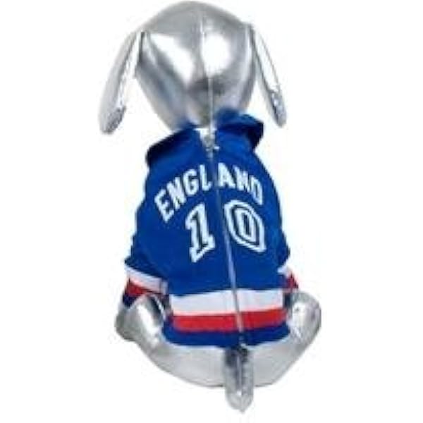 England soccer jersey dog Clearance