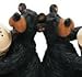 Willie Bear Salt & Pepper Shaker Set (Includes 2 Shakers), 7.5-inch