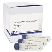 amazon com phi29 dna polymerase 5 000 units 10 000 u ml industrial scientific