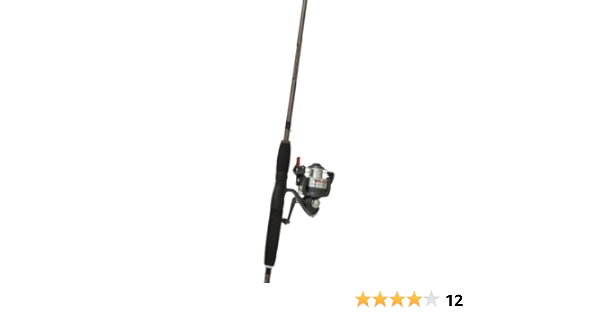 quantum snapshot rod