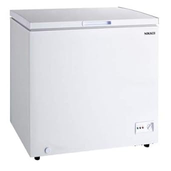 Nikkei INCO250X - Congelador de bolsillo, libre instalación, 252 ...