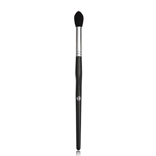 Diolee F210 - Professional Makeup Brush Tapered Highlighter/Nose Shadow Brush - Premium Fine Light Front - Currently One Of The Best Wool Brush On The Market