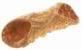 Artuso Pastry Cannoli Shells Large Natural - 180 CT