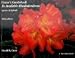 Greer's Guidebook to Available Rhododendrons