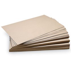 Germination of seeds for grade 5 picture