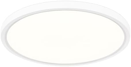 Plafón LED Regulable 24W con Mando – Lámpara de Techo con Luz Nocturna 2000K, Temporizador, Diseño Redondo Ultrafino para Dormitorio, Salón, Cocina, Habitación Infantil Ø30cm