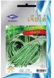 YARD LONG BEAN THAI FROM THAILAND : 10 GRAMS 60 SEEDS