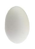 GOOSE EGG