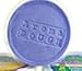 Aroma Dough Aromatherapy Dough - Organic, Non-Toxic, Soy-Free, Gluten Free Play Dough for Kids - All Natural Aromas! - Sensory Playdough 10 Pack - Valentines Gifts for Kids Great for Easter Baskets