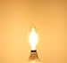 Lamsky E14 European Base LED Filament Edison Bulb, 2W Warm White 2700K, No-Dimmable (4-Pack)