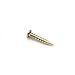 RZDEAL 200 PCS Miniature Nails Round Head Brass Nails for Small Hinges Doll Houses Delicate Boxes Mini Craft Projects(DIY, 0.05'' x 0.3'')
