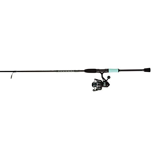 PENN Fierce III LE Spinning Reel and Fishing Rod Combo