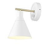 Globe Electric 65542 1-Light Dimmable Plug-in or