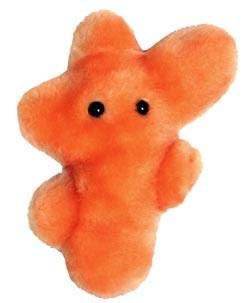 GIANT MICROBES Athlete's Foot Plush - //coolthings.us