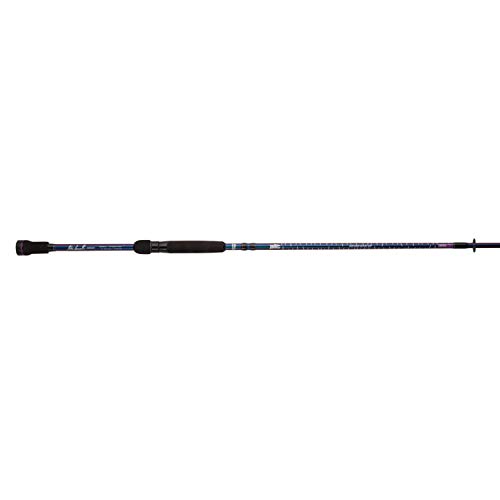 Abu Garcia 6'6 Iaconelli Signature Finesse Spinning Fishing Rod, 6'6 1-Piece Spinning Rod for All Types of Fishing, Balanced and Lightweight in Kenya | Whizz Rods Abu Garcia 6'6 Iaconelli Signature Finesse Spinning Fishing Rod, 6'6 1-Piece Spinning Rod for All Types of Fishing, Balanced and Lightweight in Kenya | Whizz Rods
