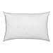 Web Linens Inc Set of 2-12 x 16-95% Feather 5% Down Pillow Insert - Exclusively by Blowout Bedding