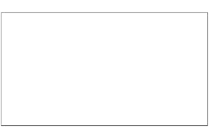 THE LABEL SUPPLIES SHOP 3" x 6" White Rectangle Labels (250 per Roll)