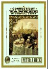 Front cover for the book A Connecticut Yankee in Criminal Court by Peter J. Heck