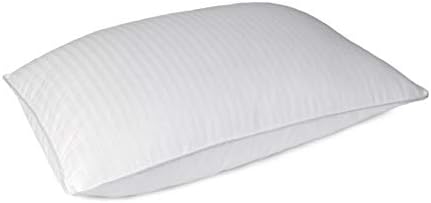 Blue Ridge Home Fashions 500 Thread Count Dot Pattern Hybrid Blend (Natural Down and Feather) Double Cover Pillow - Single Pack, Standard, White