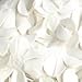 Sync Swimwear Bathing Cap with Flowers - Flowery Retro Petal Swim Cap - White