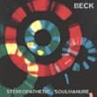 stereopathetic soulmanure