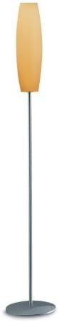 Zaneen Lighting D8-4077 Zenith Floor Lamp