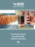 Fate of Estrogenic Compounds during Municipal Sludge Stabilization and Dewatering : WERF Report 04-HHE-6, Furlong, Edward T. and Quanrud, Dave, 1843393905