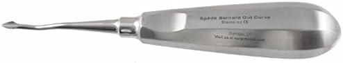 Bernard Spade Out-Curve 77 Elevator, Premium Dental Instrument