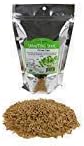 Organic Whole Oats - Hull ON - Food Storage, Animal Feed, Sprouting, More (16 oz)