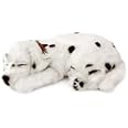 Dalmation Animated Pet