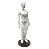 Model Anatomy Professional Medical Acupuncture Female 48cm 19