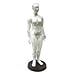 Model Anatomy Professional Medical Acupuncture Female 48cm 19" IT-091 ANGELUS