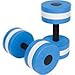 Icetek Sports Aquatic Exercise Dumbells for Water Aerobics (1 Pair)