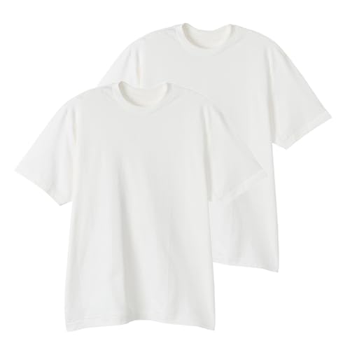 アンダーシャツ 2枚組 半袖 大きいサイズ 綿100% 2P ヘインズ Tシャツ SHIRO クルーネックTシャツ2枚組 インナーウェアメンズ HM1-D701-M