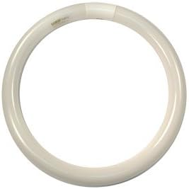 Fluorescent Circline Light Bulbs FC12T9/CW (Case of 12)