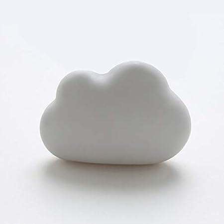 XelparucTS - Caja de carbón Activado para Eliminar olores de ...