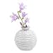 CHIVE - Set of 6 Smasak 2.5