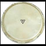 Traditional Series Replacement Djembe Head: 12