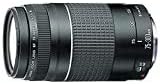 Canon EF 75-300mm f/4-5.6 III Telephoto Zoom Lens Canon DSLR view 2