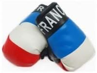 Mini Boxing Gloves - France