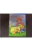 Dog's Life, On-Level Reader Grade 5: Harcourt School Publishers Storytown (Rdg Prgm 08/09/10 Wt)