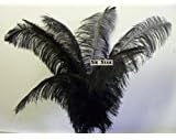 Ostrich Deluxe Formal BLACK- Feather Plume 18-26"Long-10 Pcs.- by Six Star Sales for Eiffel Tower Vase