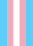 Toland Home Garden Transgender Pride 12.5 x 18 Inch Decorative Pink Blue White Stripe Support Garden Flag