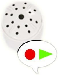 Compact Digital Recording Module w/20+ seconds of Playback time for Stuffed Animals and Craft Projects - Beary Fun Creations