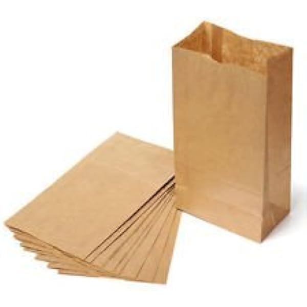 amazon paper lunch bags
